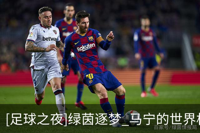 [足球之夜]绿茵逐梦 马宁的世界杯征途